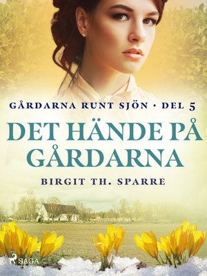 cover image of Det hände på gårdarna